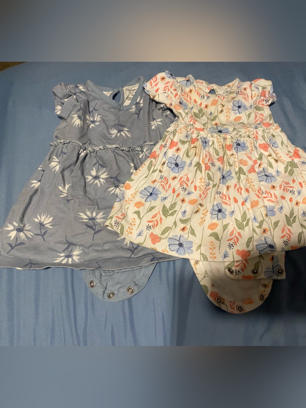 Carter's Floral Print and Dusty Blue Baby Girl Bodysuit Set